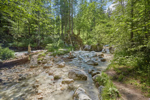 Gemeinde Ramsau Landkreis Berchtesgadener_Land Zauberwald am Hintersee (Dirschl Johann) Deutschland BGL